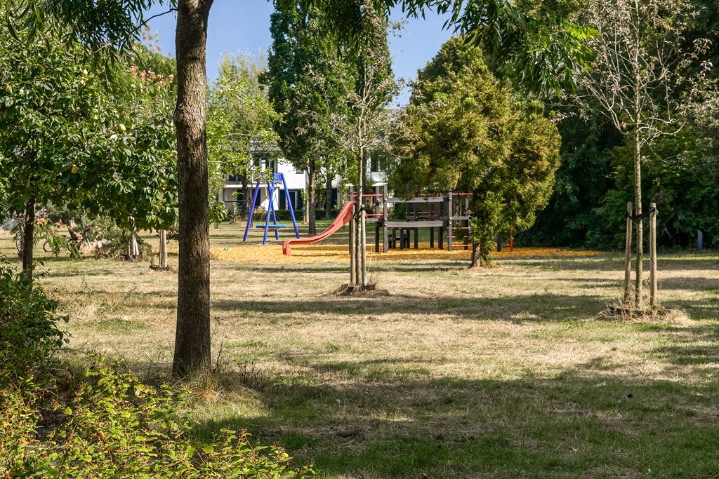 Property 39