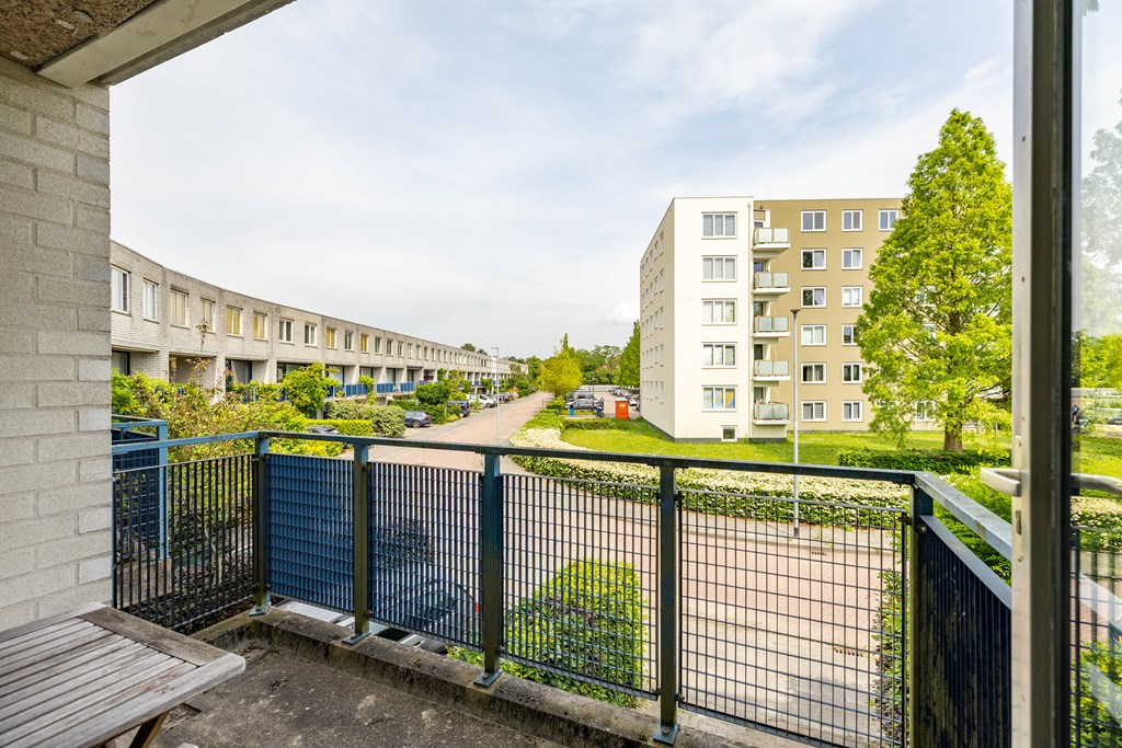 Property 30