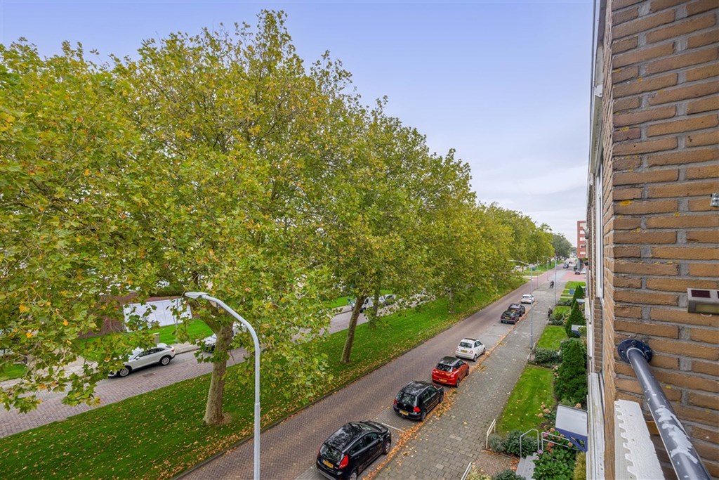 Property 29