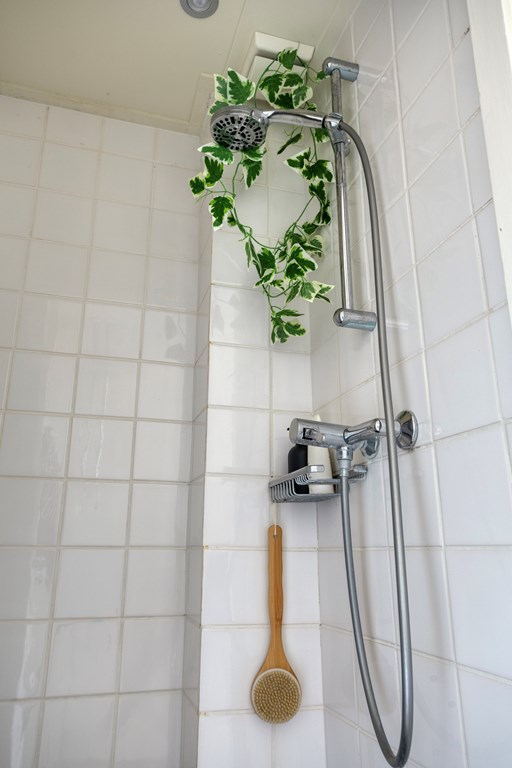 Property 19