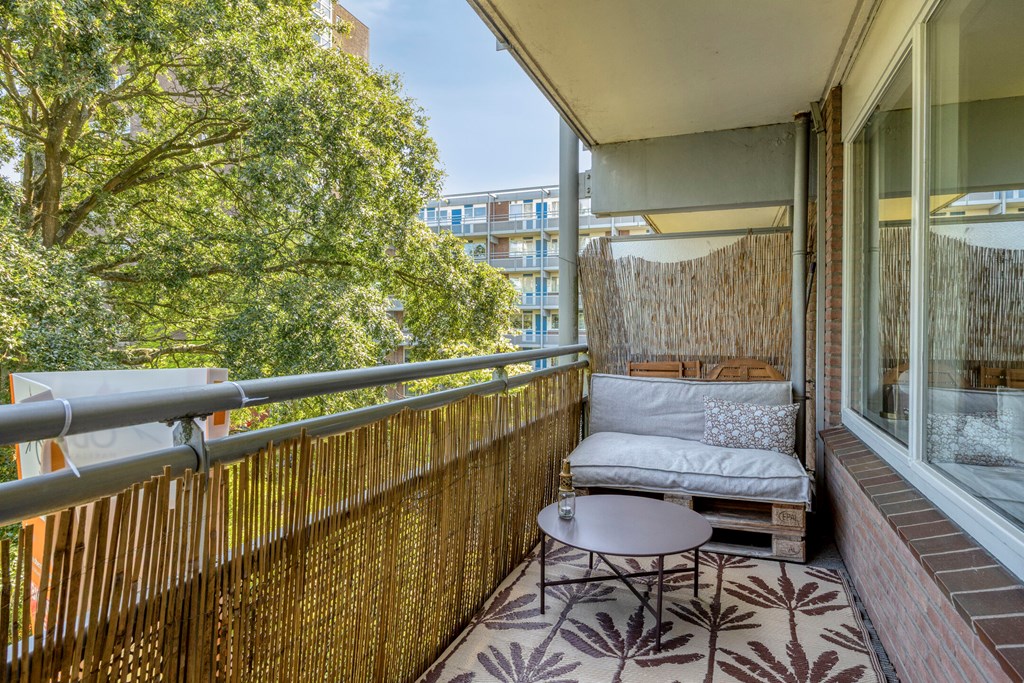 Property 24