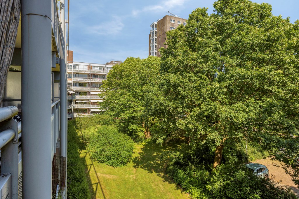 Property 25