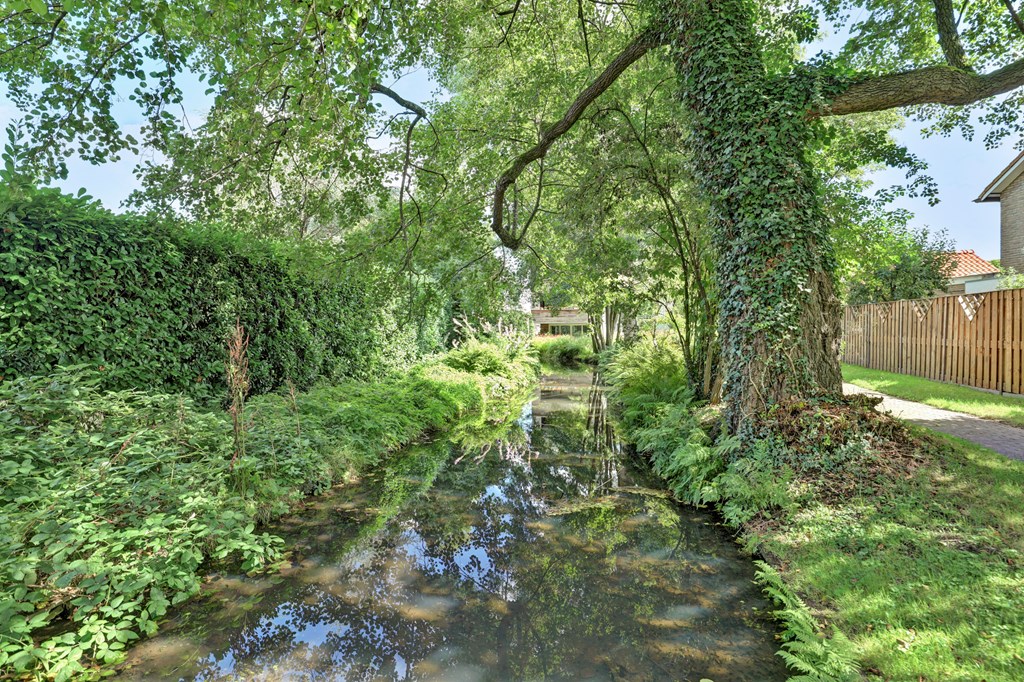 Property 51