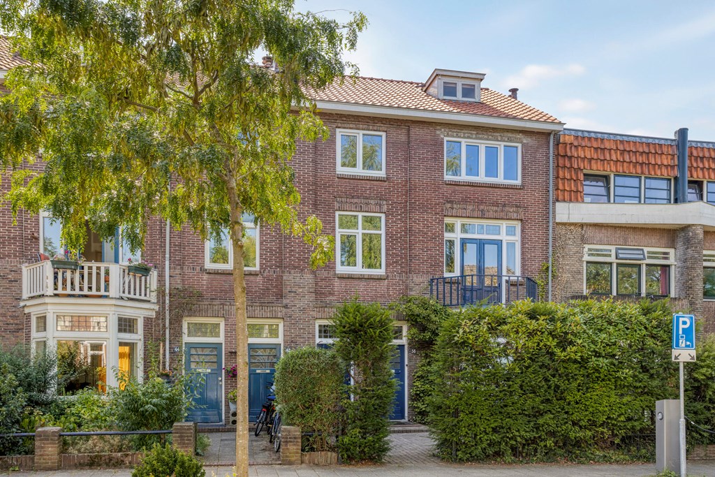 Ruisdaelstraat