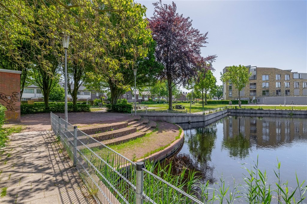 Property 38