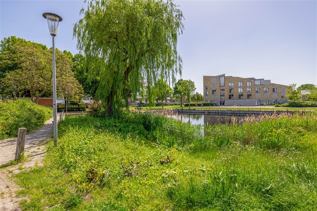 Property 39