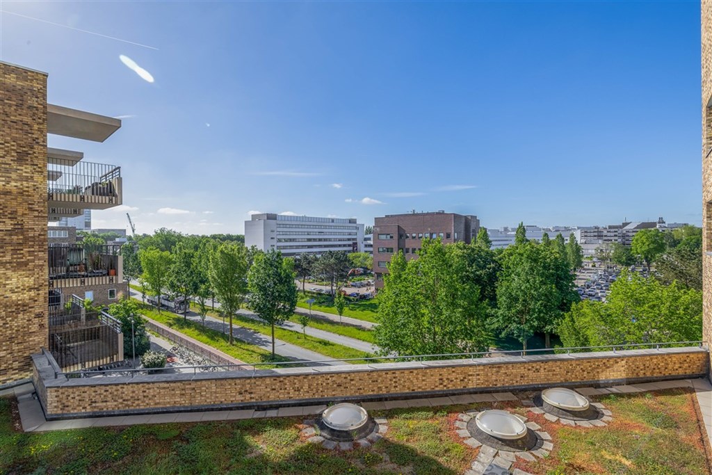 Property 29