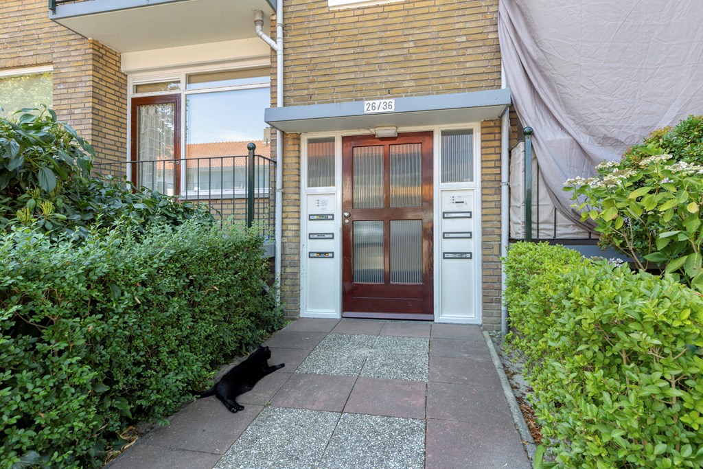 Property 13