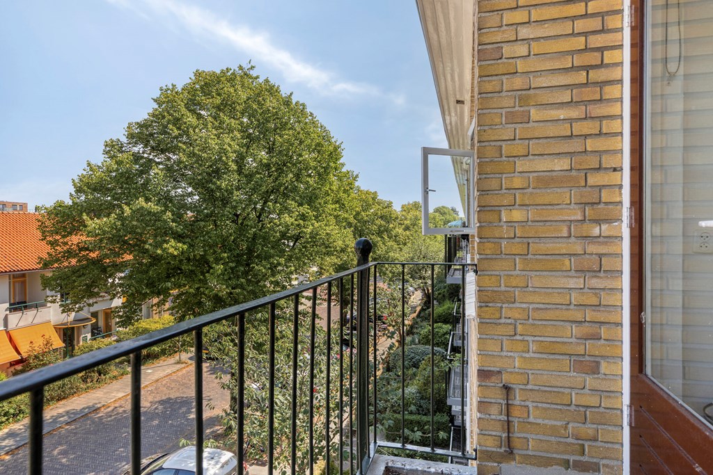 Property 36