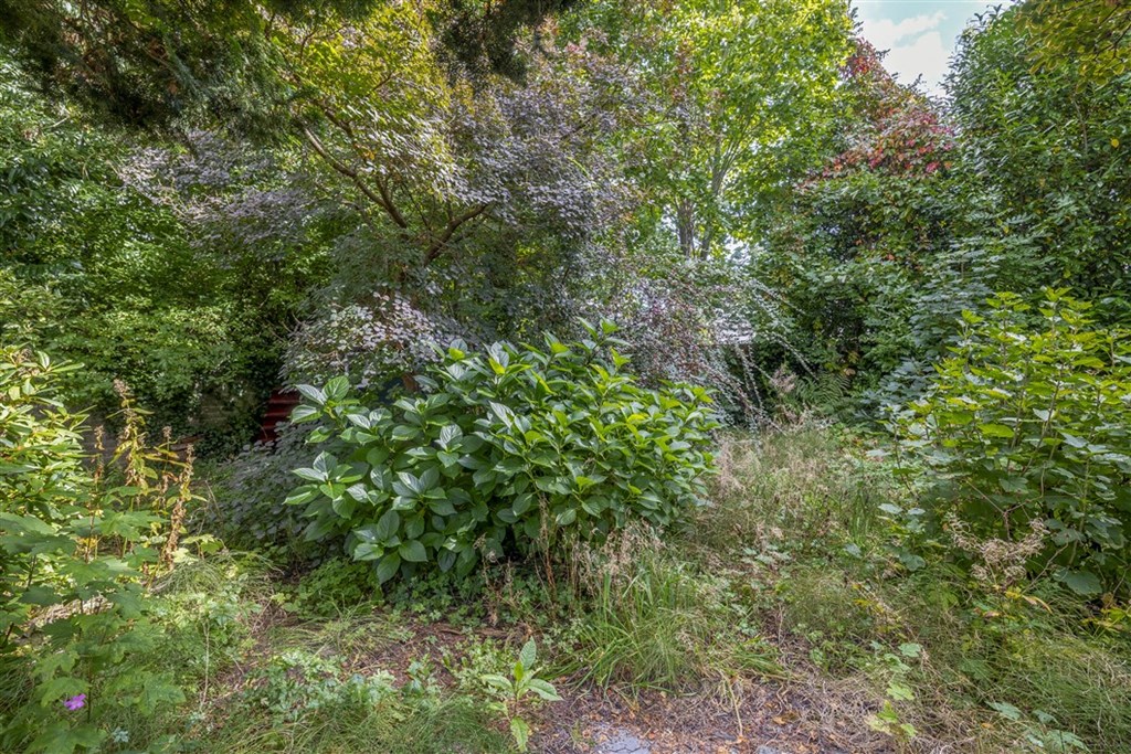 Property 24