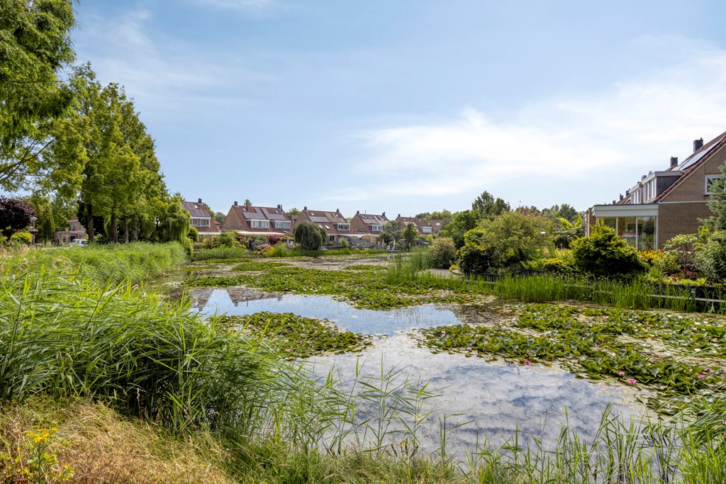 Property 39