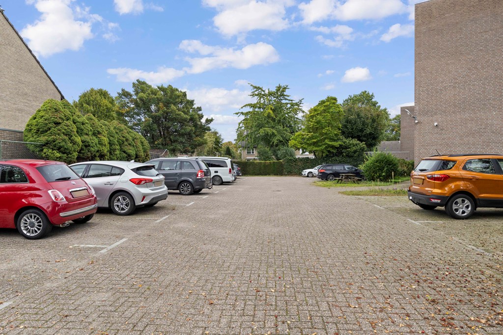 Property 38