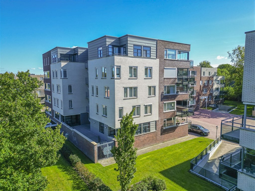 Property 38
