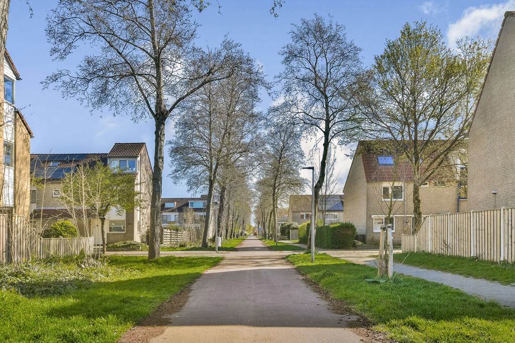 Property 30