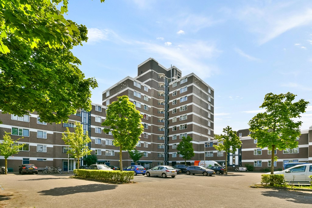 Property 20