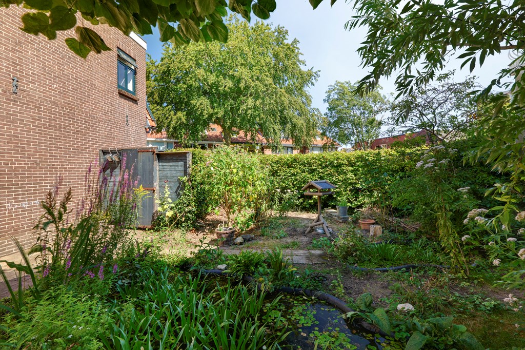 Property 25