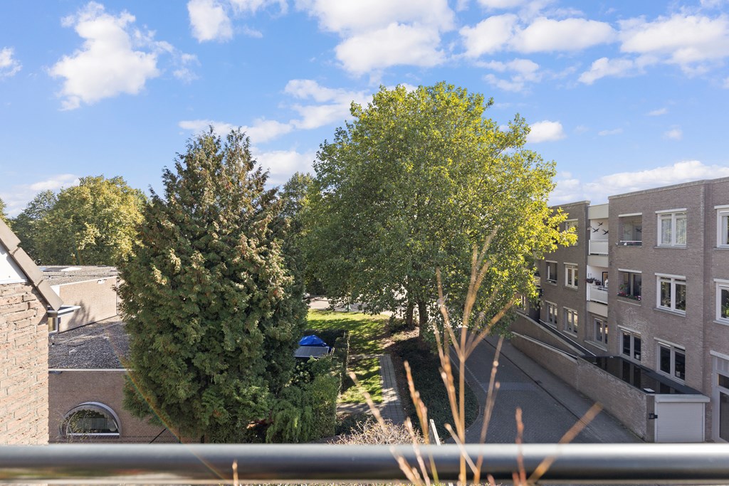 Property 31