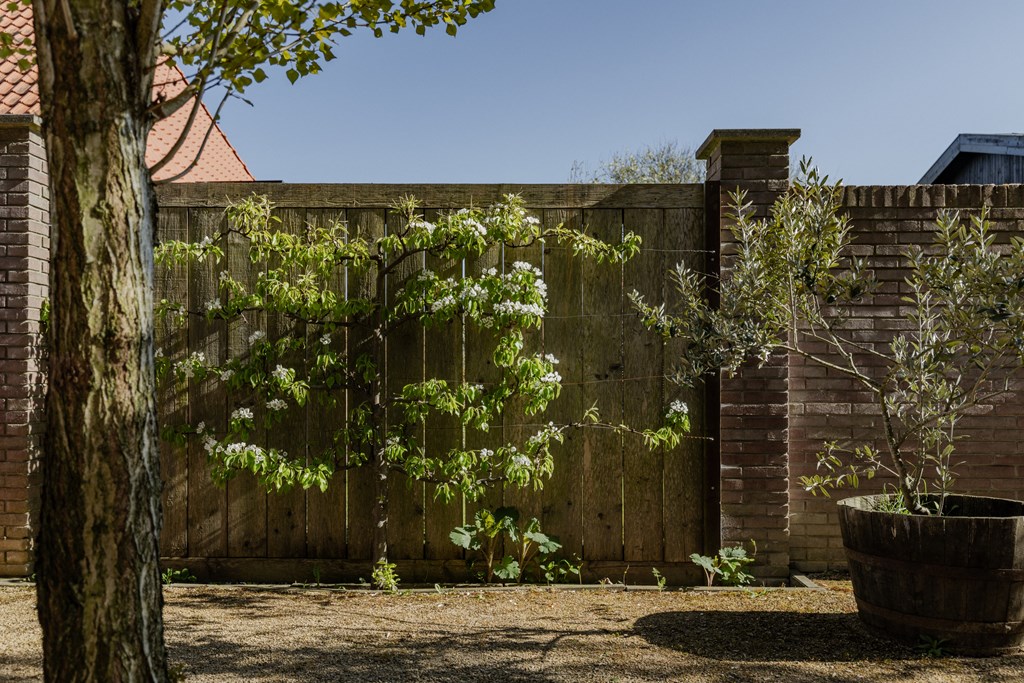 Property 84