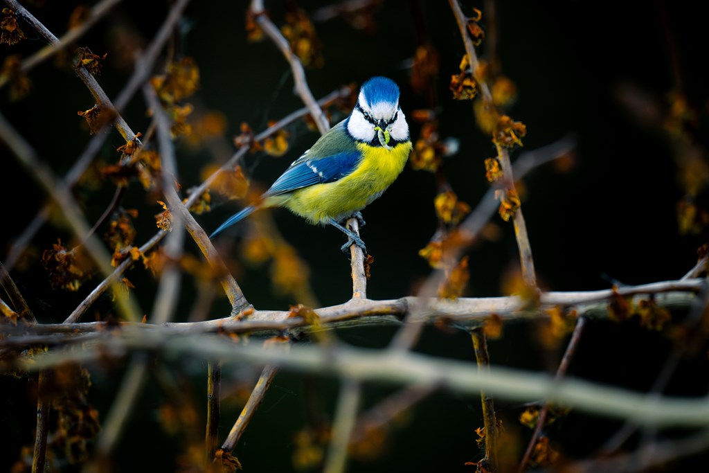 Property 59