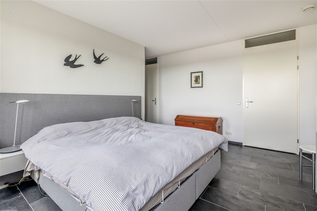 Property 38