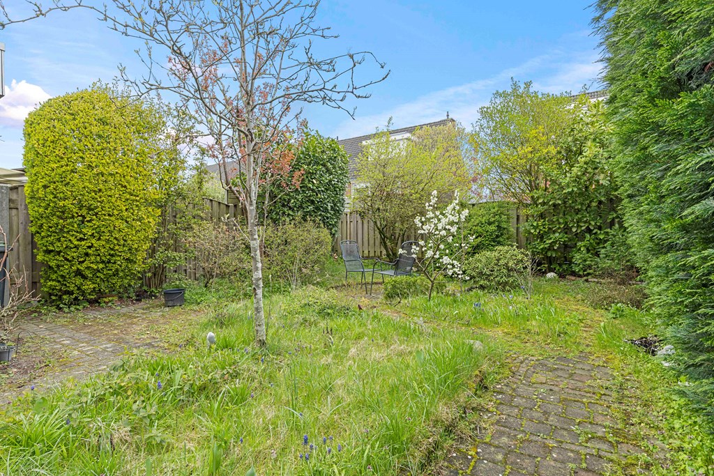 Property 32