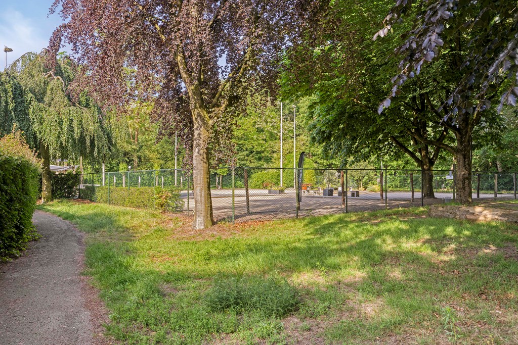 Property 23
