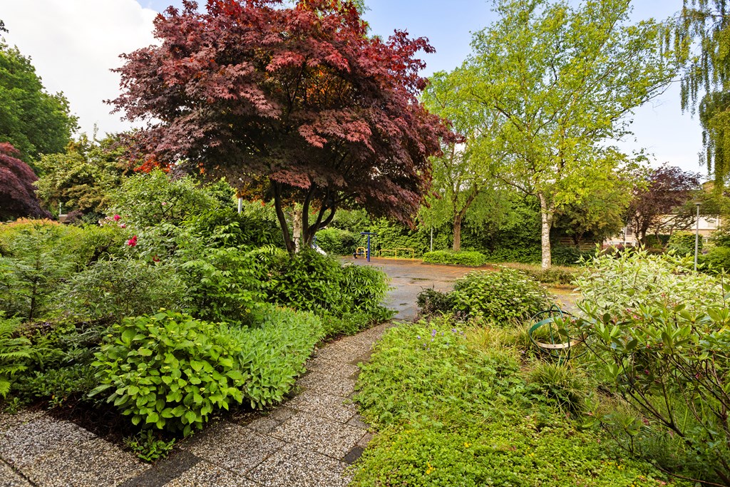 Property 34