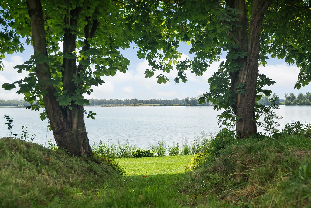 Property 35