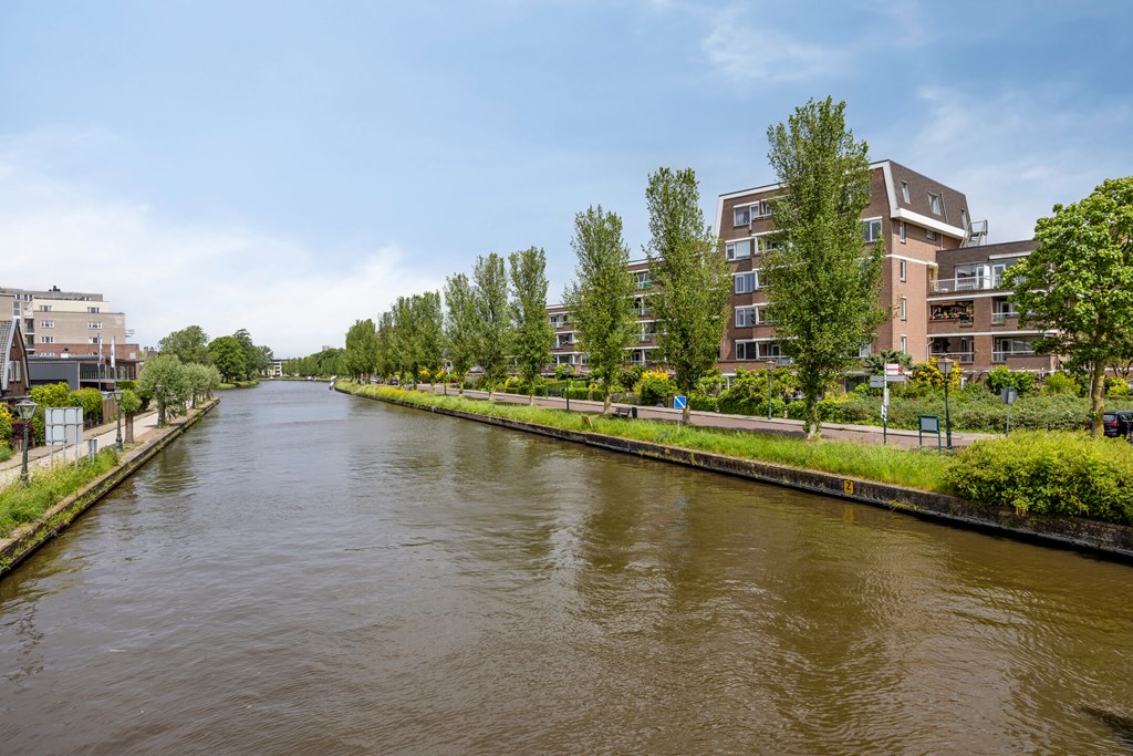 Property 36