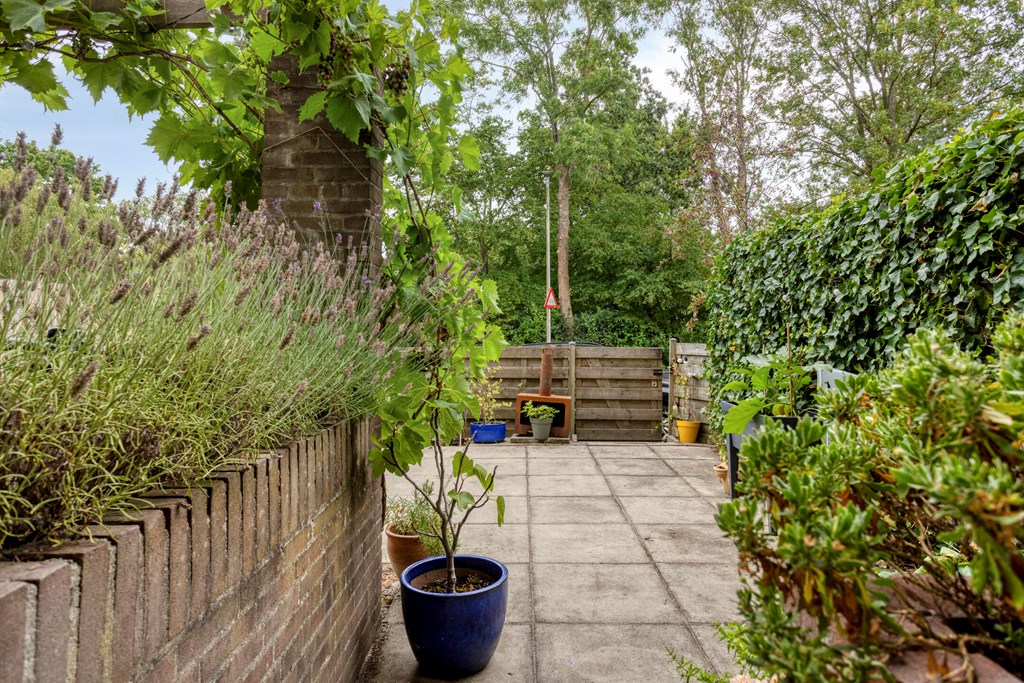 Property 23