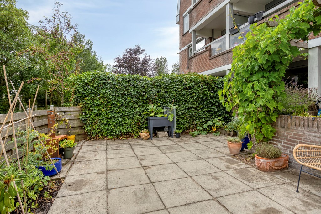 Property 26