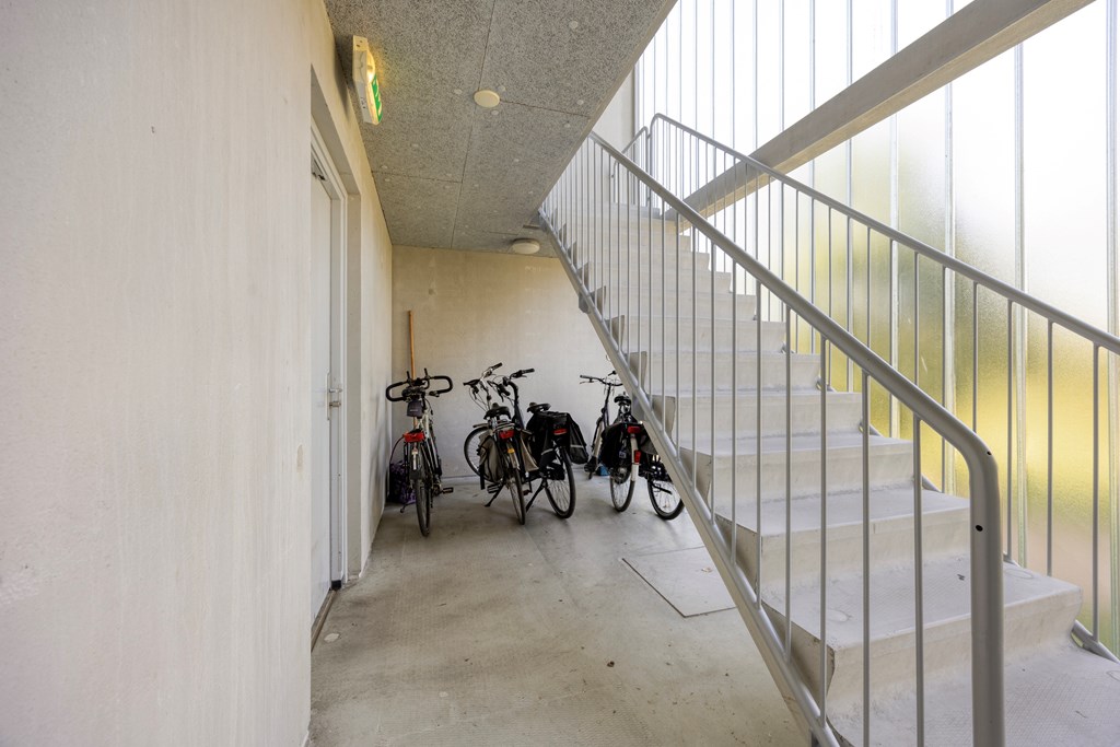 Property 38