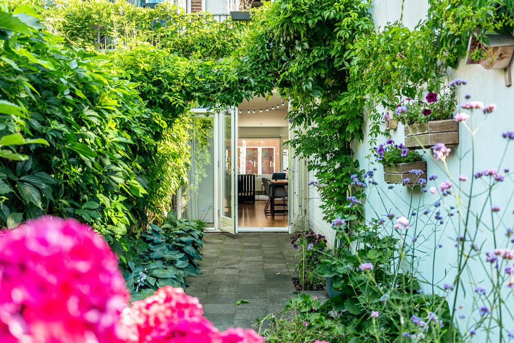 Property 25