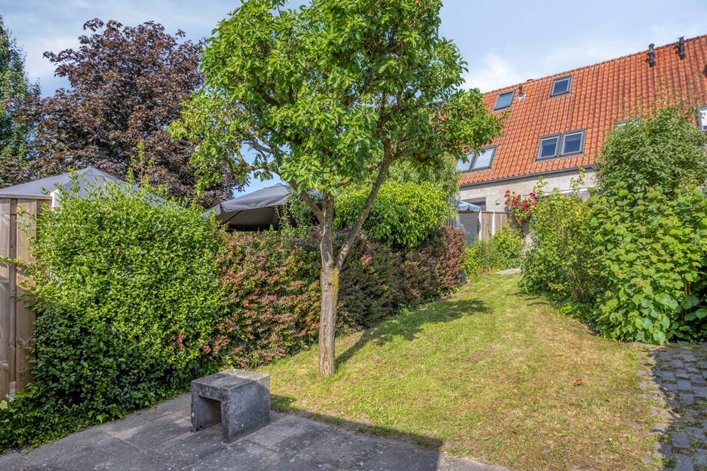 Property 30