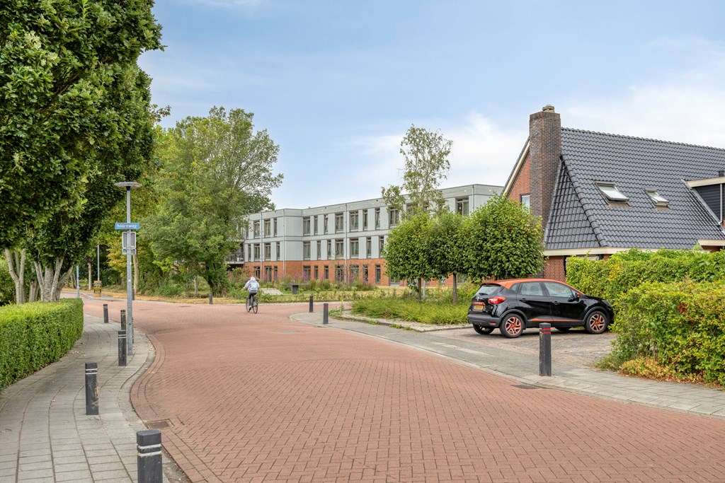 Property 37