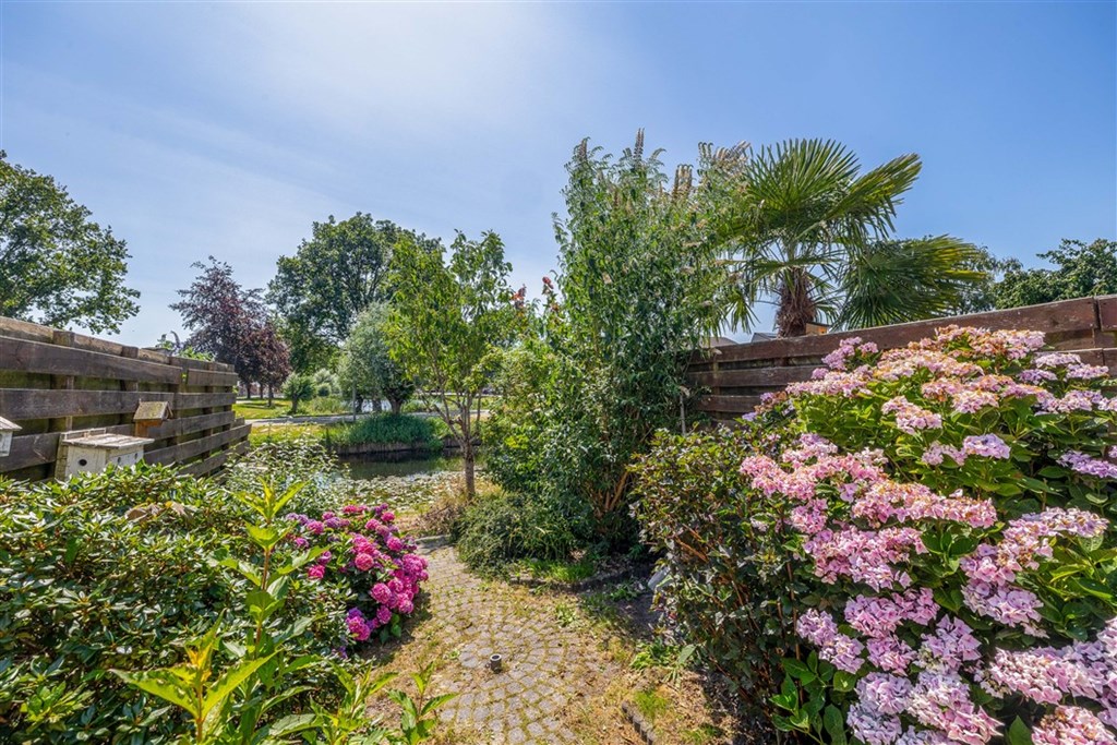Property 38