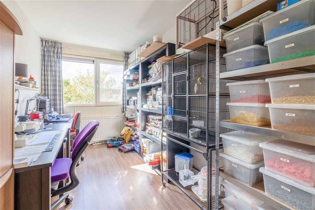 Property 23