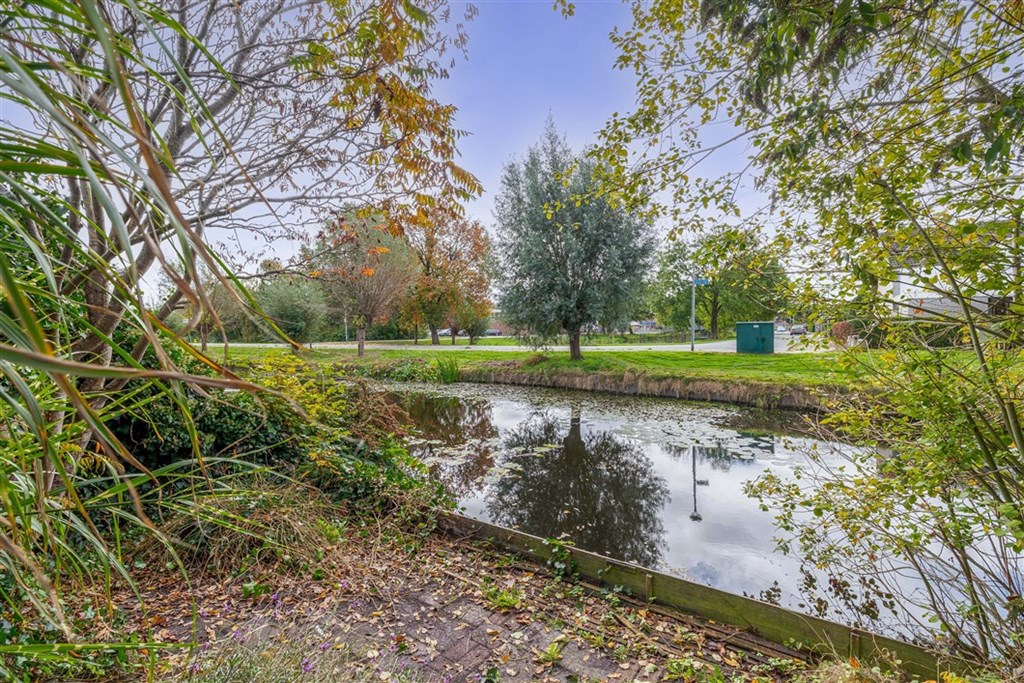 Property 29