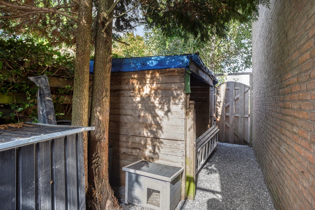 Property 38