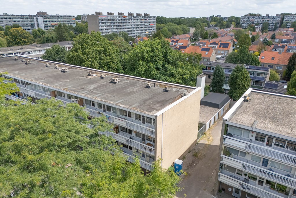 Property 32