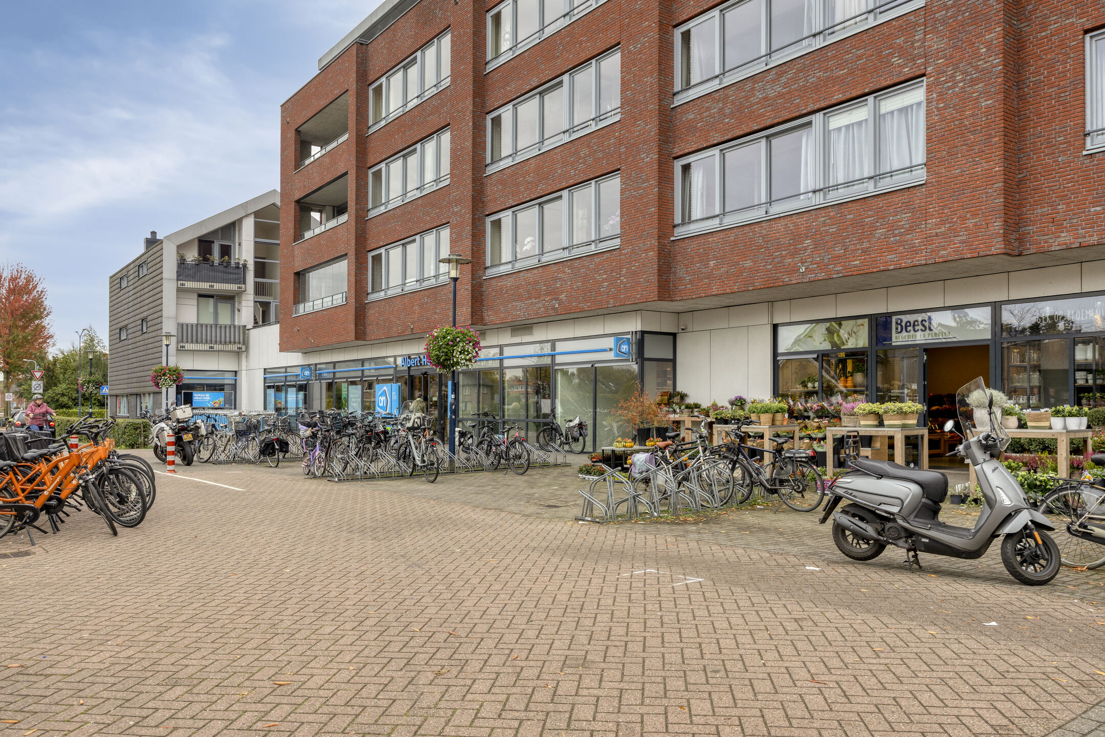 Property 29